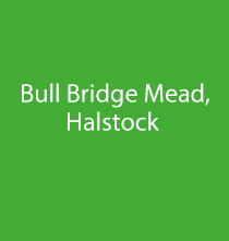 Bull Bridge Mead, Halstock